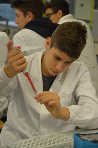 Esperimento di Biologia Molecolare