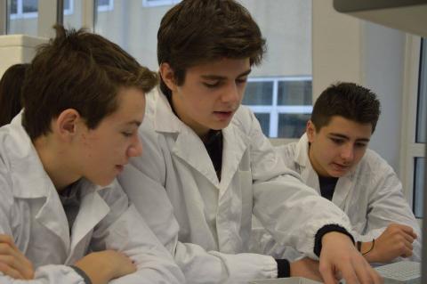 Esperimento di Biologia Molecolare