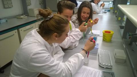 Esperimenti di biologia molecolare presso il Life Learning Centre