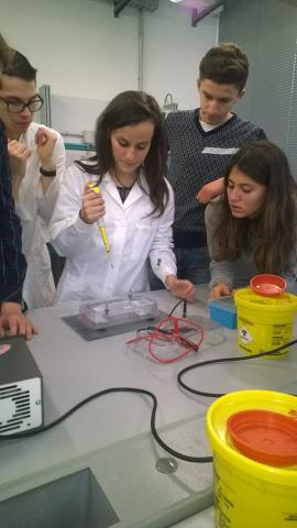 Esperimenti di biologia molecolare presso il Life Learning Centre