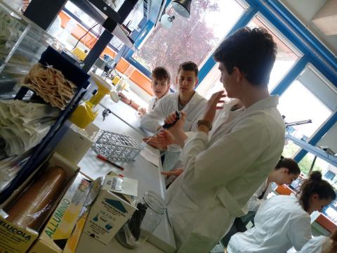 Visita all'Università degli Studi di Udine