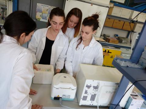 Visita all'Università degli Studi di Udine