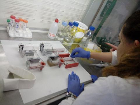 Visita all'Università degli Studi di Udine