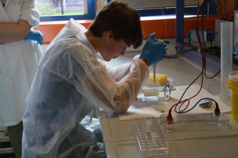 DNA fingerprinting all'Università di Udine