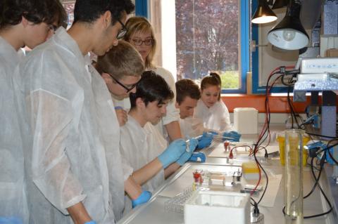 DNA fingerprinting all'Università di Udine