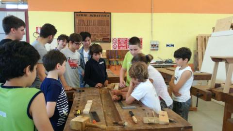 Progetto Wood Discovery 2018