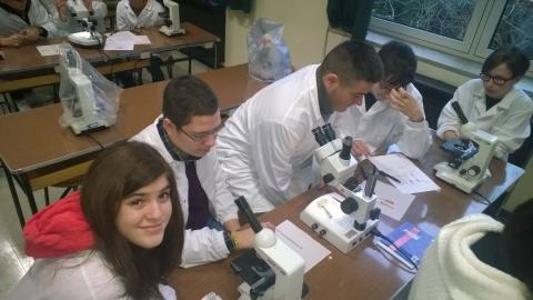 Esperimenti di biologia molecolare presso il Life Learning Centre