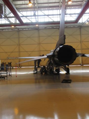 Visita ad Aviano