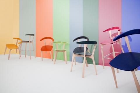 SGNA Design Festival
