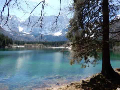 Laghi di Fusine