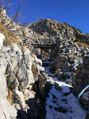 V elt A e V lsa D sul Pal Piccolo