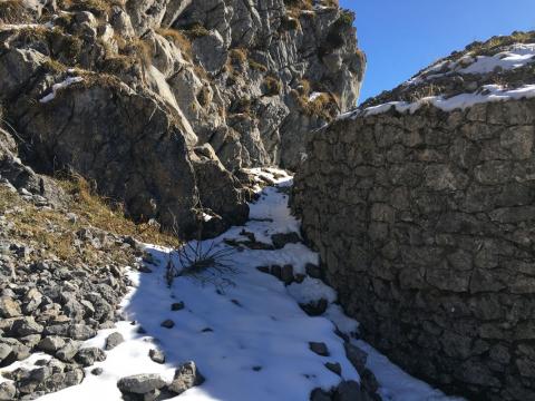 V elt A e V lsa D sul Pal Piccolo