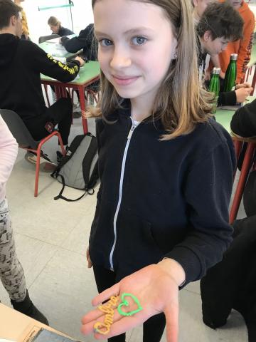 progetto CON-STEM-INATION