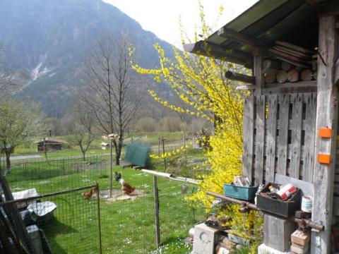Secondo Incontro Biodiversity in Val Resia
