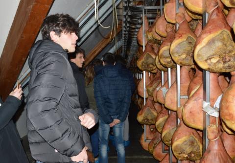 Visita a Sauris