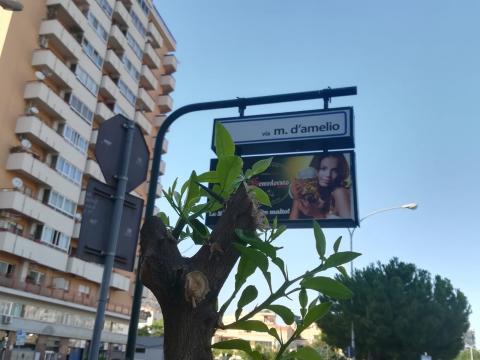 E!state Liberi