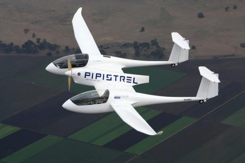 PIPISTREL MALIGNANI