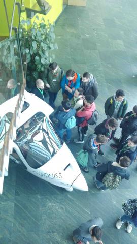 PIPISTREL VISITA IV AER C e IV TEL B