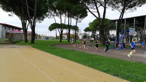 Corsa Campestre