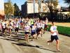 Partenza corsa campestre